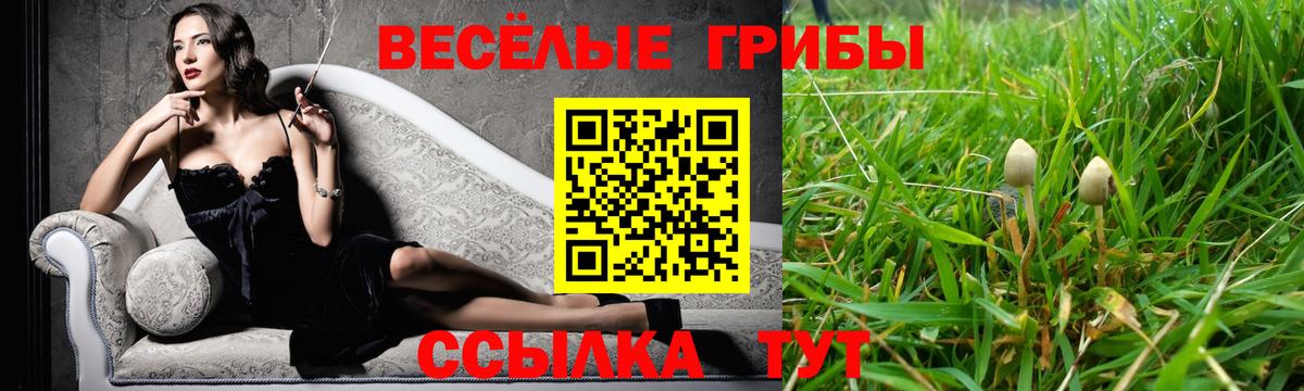 Галлюциногенные грибы Psilocybine cubensis  Псилоцибиновые грибы ЛСД  Вход с VPN  цены   Москва 