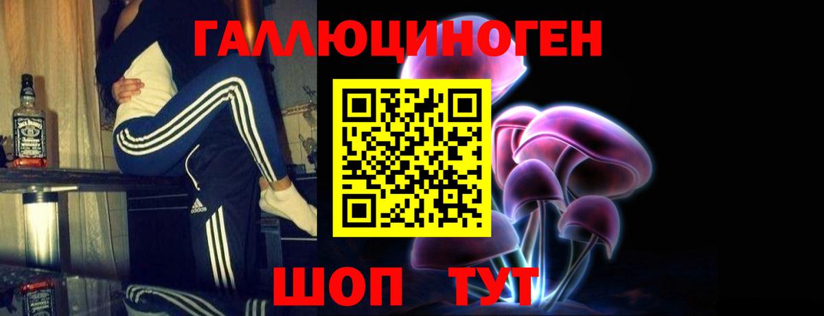 Псилоцибиновые грибы мицелий Москва
